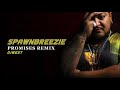Spawnbreezie x DJ West - Promises Remix