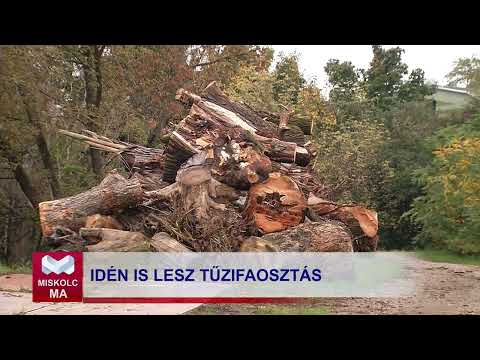 Videó előnézet