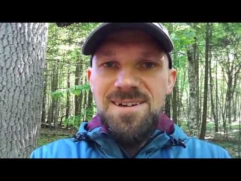 Dr Tomasz Samojlik opowiada o żubrze Pompiku