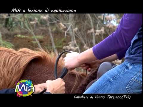 Per rilassare i muscoli del collo con osteocondrosi Ginocchio da un donatore