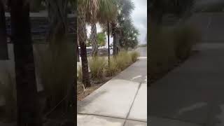 颯爽と駆け抜けるキックボードの末路