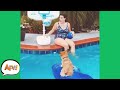 HOWLING For HOOPS Funniest Animals AFV 2020