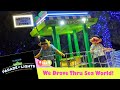 Sesame Street Parade Of Lights