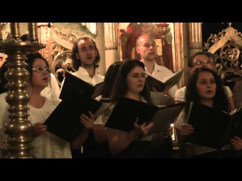 Tatal nstru - Valentin Gruiescu