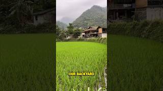 Ha Giang Loop Homestay #shorts