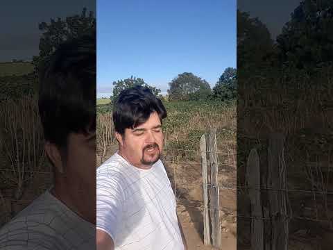 Agricultura traçando novo caminho em São Francisco de Itabapoana. #oagronãopara #enãopodeparar