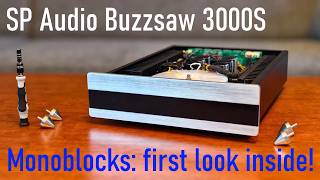 AVI S2000 Based Monoblocks: Buzzsaw 3000S Stereo Amplifier First Look!