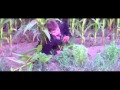 Eaten Alive 2010