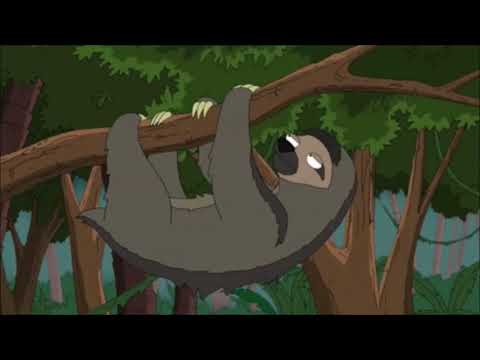 Family Guy manche Dinge sollte man langsamer angehen... [Deutsch/German] |Family Guy DE