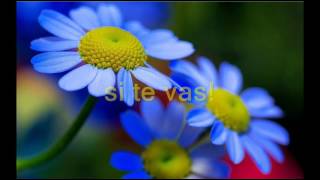 No te vayas nunca jose luis perales