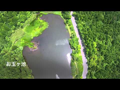 箱根　お玉ヶ池　6月