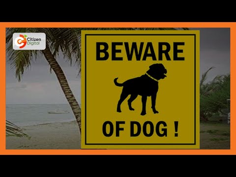 11yr old girl attacked by British national's dog at beach in Watamu