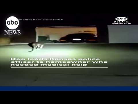 Dog leads Kansas police officer to homeowner who needed medical help