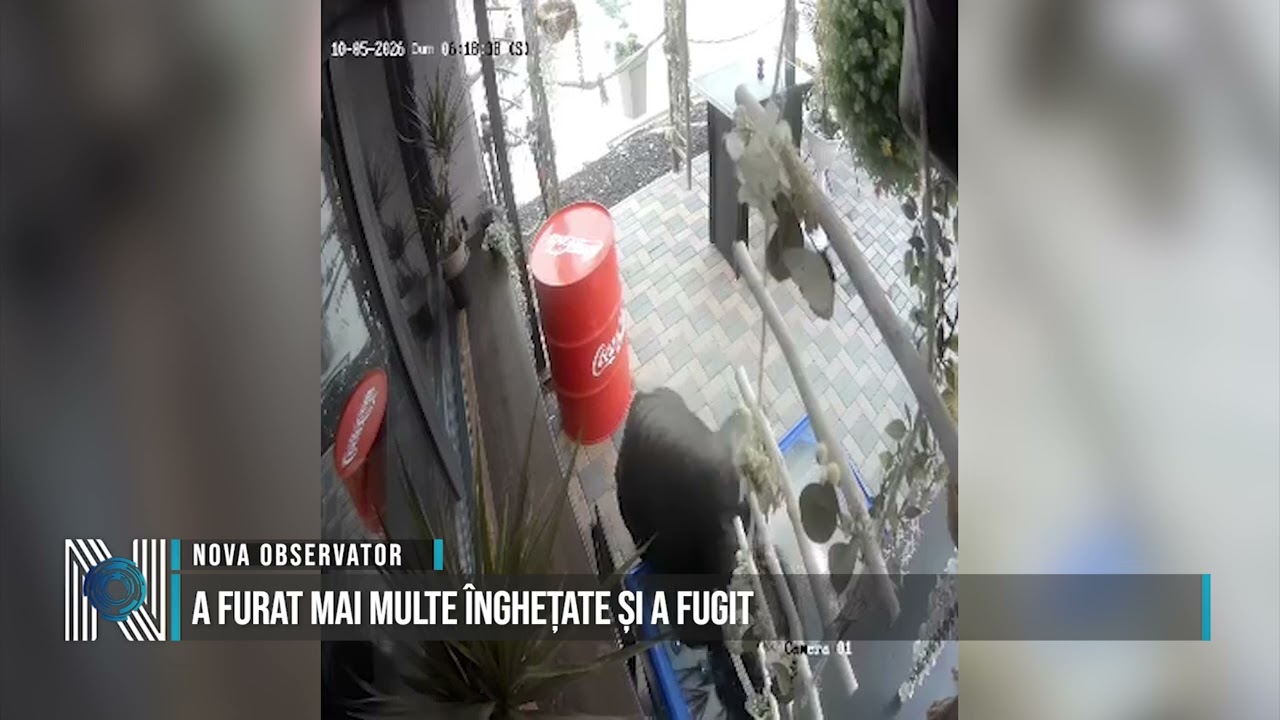A furat mai multe înghețate și a fugit