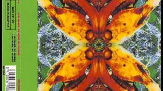 Acid Horse - No Name, No Slogan