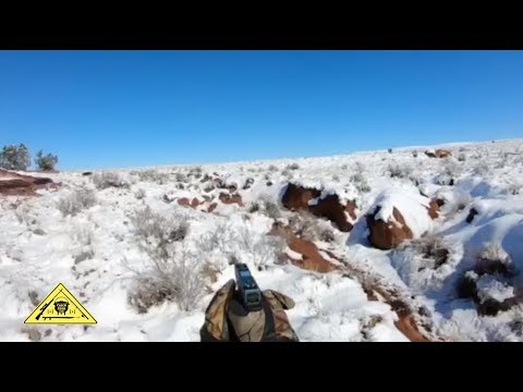 download lagu mp3 mp4 Arizona Hog Hunting Ranch, download lagu Arizona Hog Hunting Ranch gratis, unduh video klip Arizona Hog Hunting Ranch