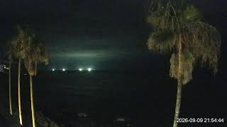 ヤッシーファミリー🌴🌴🌴🌴応援カメラ（鹿児島県枕崎市）フッキー🙋‍♂️👋もたまに・・・ live webcam