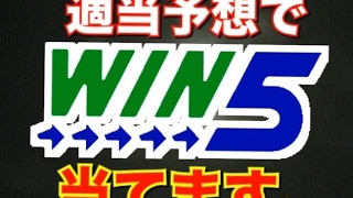 Win5 適当予想家の のライブ ストリーム