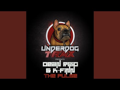 Pulse (Original Mix)