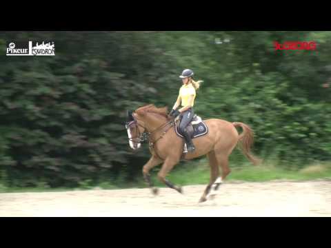 Training mit Meredith Michaels Beerbaum Teil 1