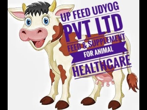 Cattle supplement for digestion