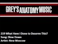 219 New Moscow - Slow Down 