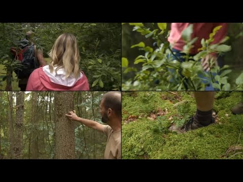 Magazin: Freu` dich auf Franken / Steigerwald 2024