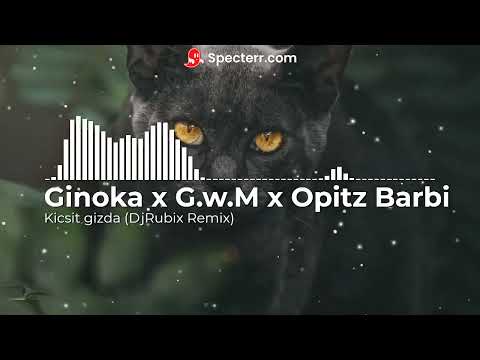 Ginoka x G.w.M x Opitz Barbi - Kicsit Gizda (DjRubix Remix)