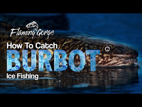 How to Ice Fish for Burbot - Flaming Gorge How To - Episode 4
