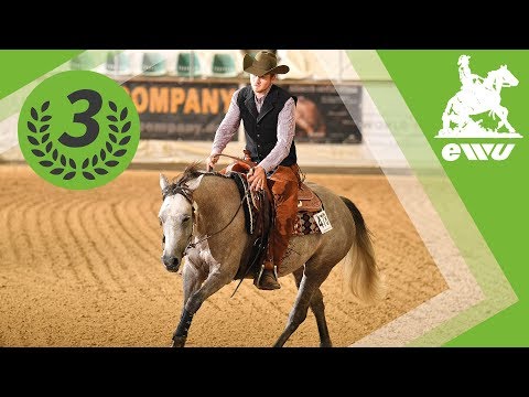 Joschka Werdermann | Youngstars Reining | EWU German Open 2017