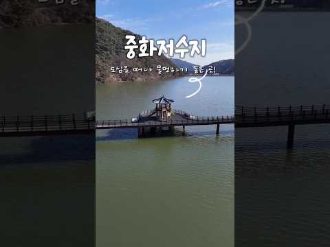 도심을 떠나 물멍하기 좋은 곳! #중화저수지 #고령군sns기자단 홍우석