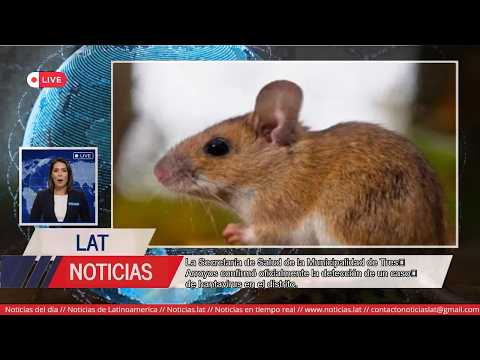 Alerta Sanitaria en Tres Arroyos: Confirman Caso de Hantavirus y Activan Protocolos