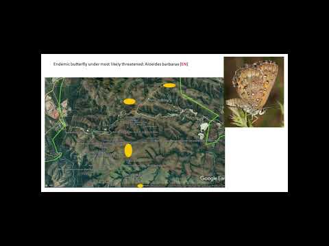 9 Mountainlands Nature Reserve   Delia Oosthuizen