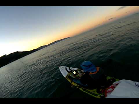 5inch Jerk shad swallowed by a 7inch Kahawhai.avi