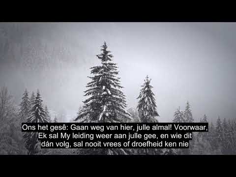 Hoofstuk 2 The Cow, Emotional Quran Recitation, 90+ Taal Ondertitels