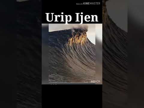 Urip Ijen  cipt . Steve Whasp.081214022401 Call.