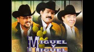 mis quimeras - miguel y miguel