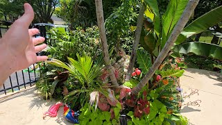 Planning & Setting Up Automated Watering