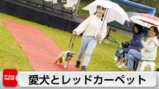 愛犬とレッドカーペット 新たな体験型イベント開催