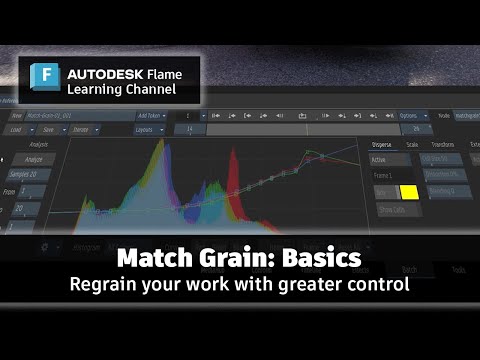 Match Grain: Basics - Flame 2025