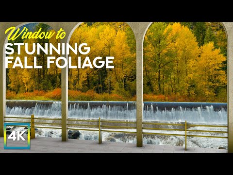 Stunning Autumn Scenery - 4K Window View - Fall Foliage in Waterfront Park + Soothing Nature Sounds