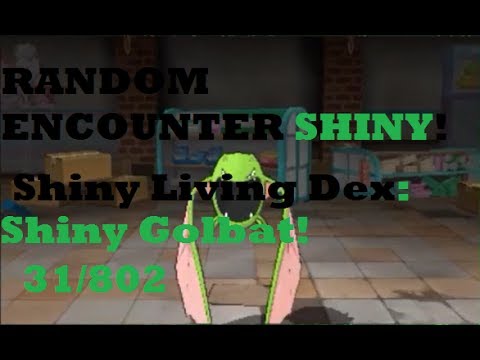RANDOM ENCOUNTER!!! Accidental Live Shiny Golbat Reaction!!! | Shiny Living Dex: 31/802