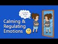 DBT Skills: Emotion Regulation and Acceptance