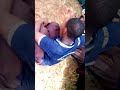 Habari Kwa Ufupi