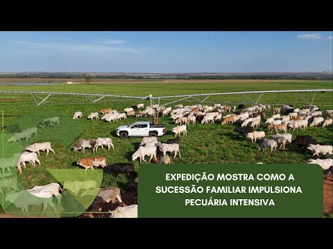 EXPEDIÇÃO MOSTRA COMO A SUCESSÃO FAMILIAR IMPULSIONA PECUÁRIA INTENSIVA