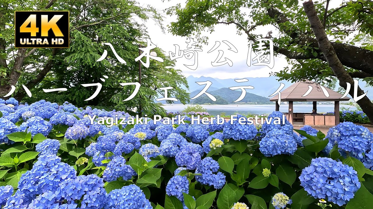 Embark on a walking tour through the verdant Yagizaki Park.