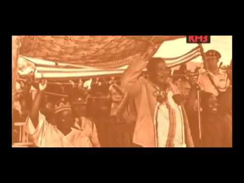 I love you Africa by Steve Kekana