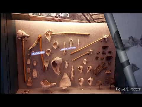 The Direct Connection of Cuatio/Bimini/Florida, The Caribbean, and MesoAmerica