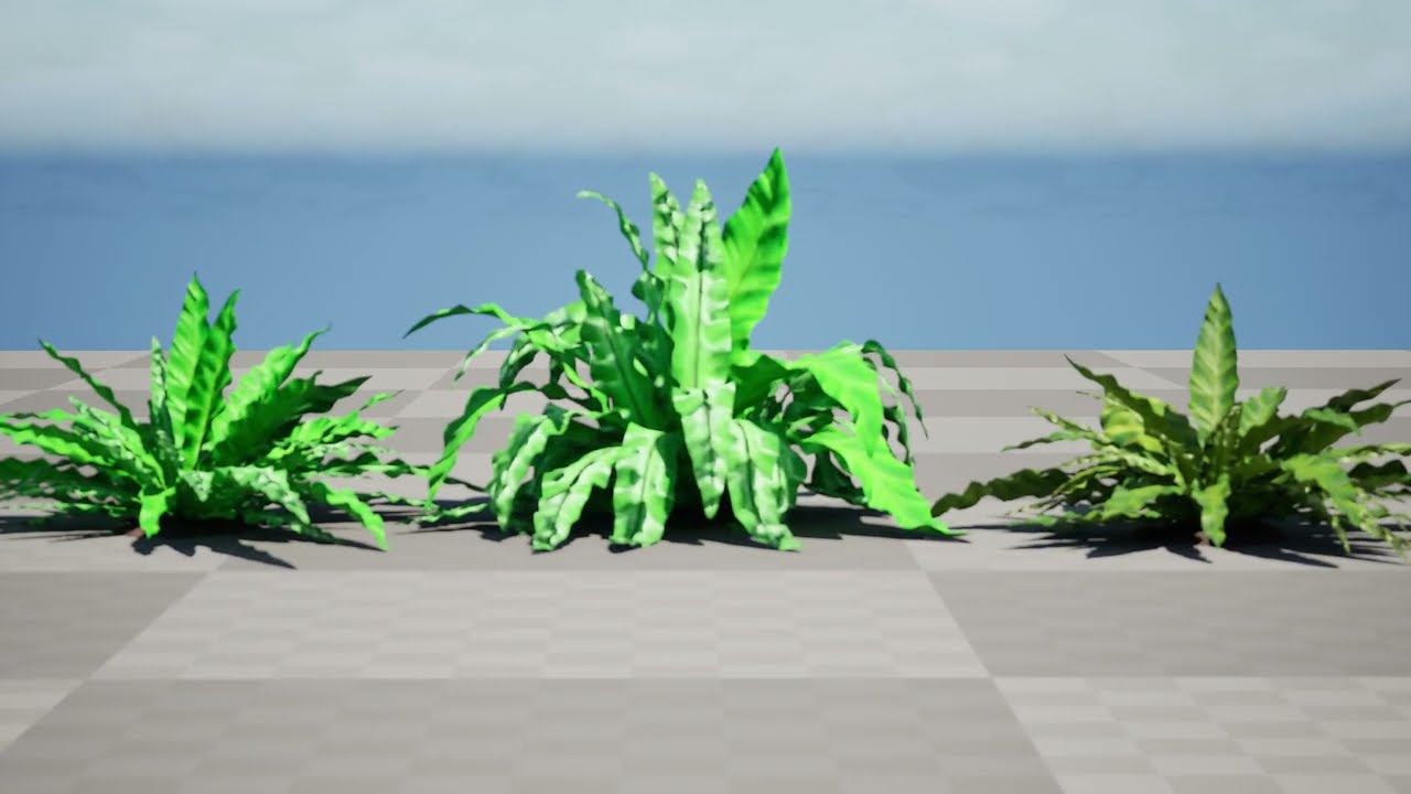 Birds Nest Fern 3D Model