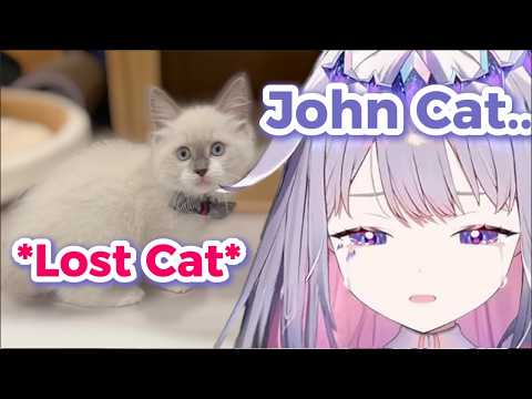 Biboo Loses It Thinking She Lost Her Cat IRL
